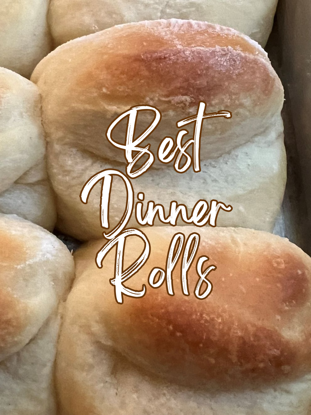 Best Dinner Rolls - Sunflower Pantry