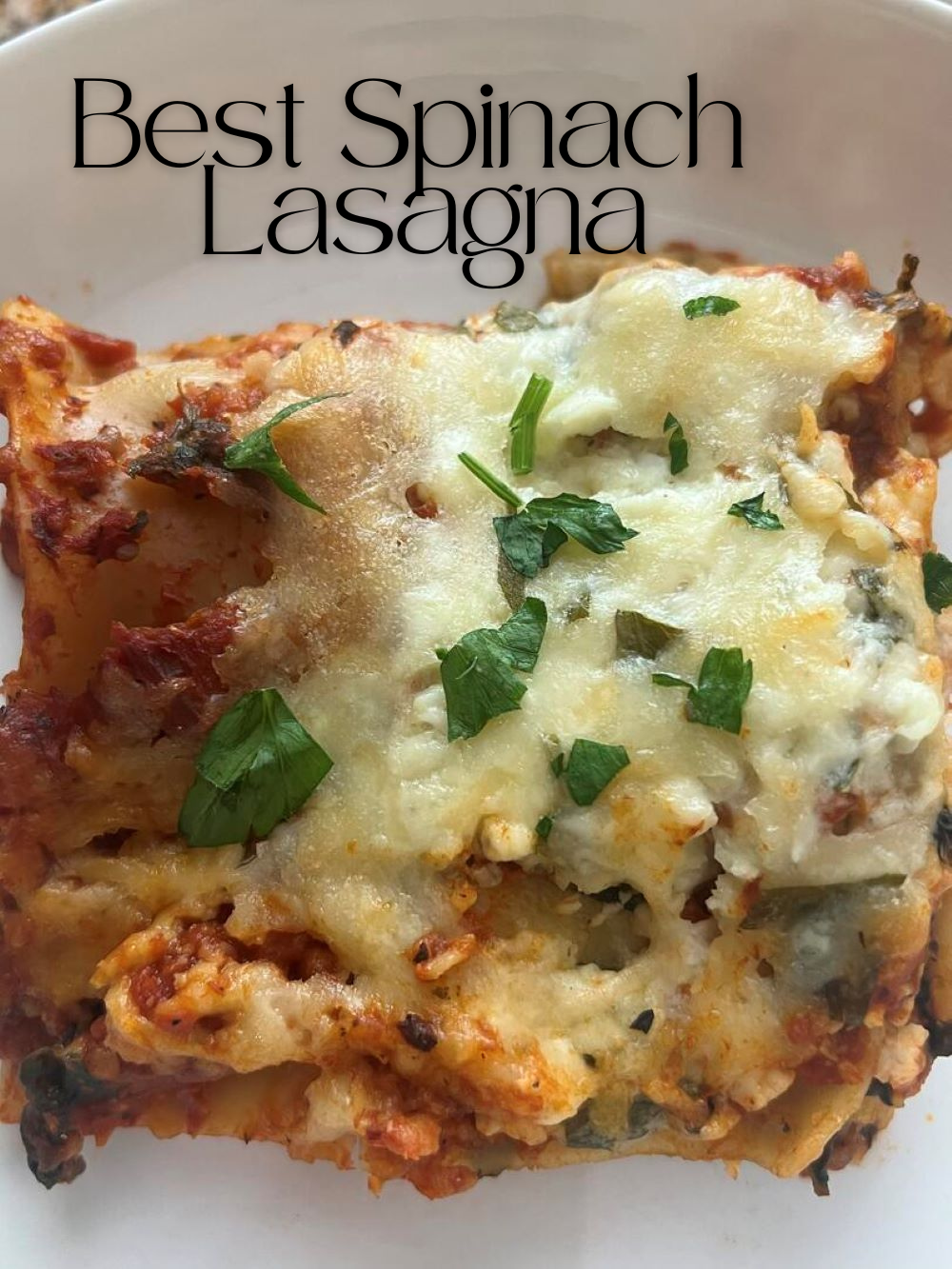 Best Spinach Lasagna - Sunflower Pantry